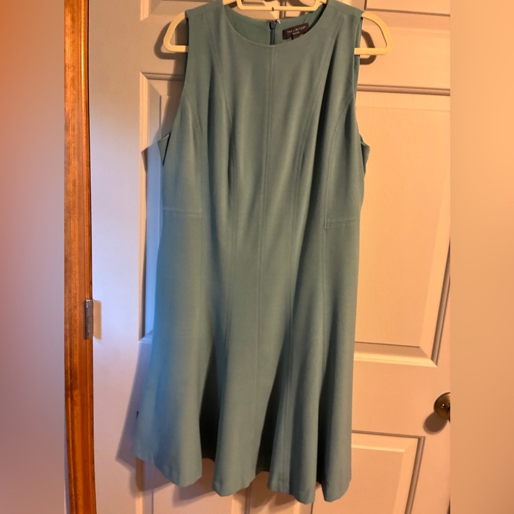 The Limited Sea Green Midi Dress